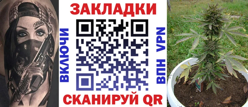 Магазины продажи наркотиков Новоржев ЭКСТАЗИ  СК  Гашиш  Меф  Бошки Шишки 