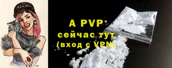 стафф Дмитров