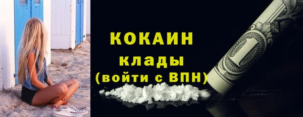 бошки Дмитриев