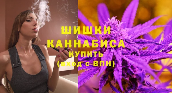 бошки Дмитриев