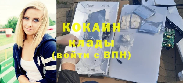 стафф Дмитров