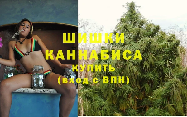 бошки Дмитриев