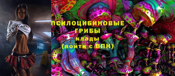 стафф Дмитров
