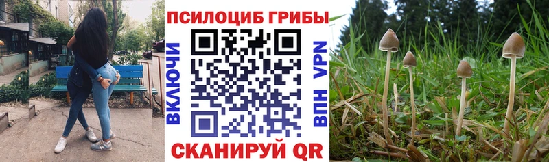 наркошоп Новоржев Галлюциногенные грибы GOLDEN TEACHER